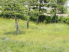 img0037.jpg