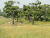 img0039.jpg
