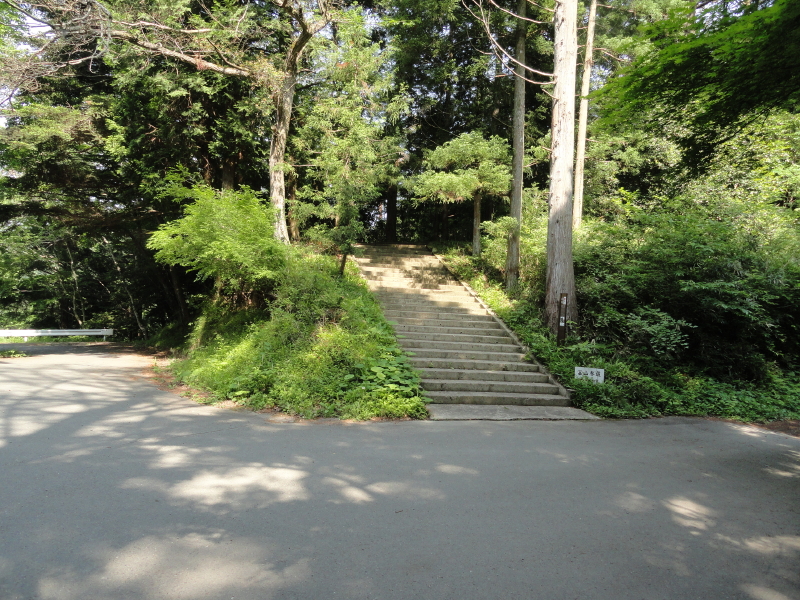 img0003.jpg