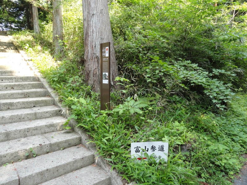 img0004.jpg