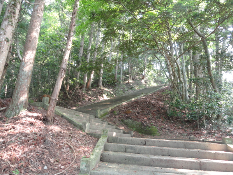 img0006.jpg