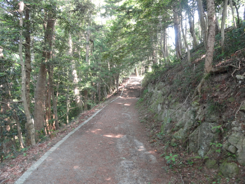 img0007.jpg