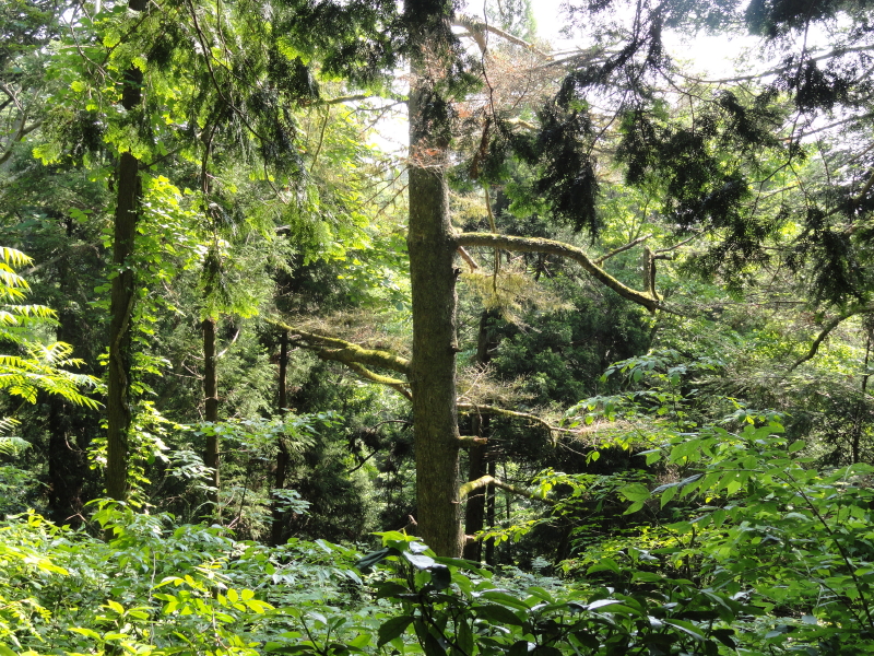 img0008.jpg