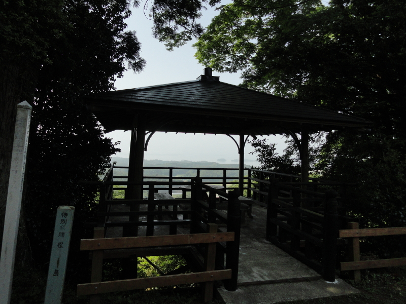 img0013.jpg