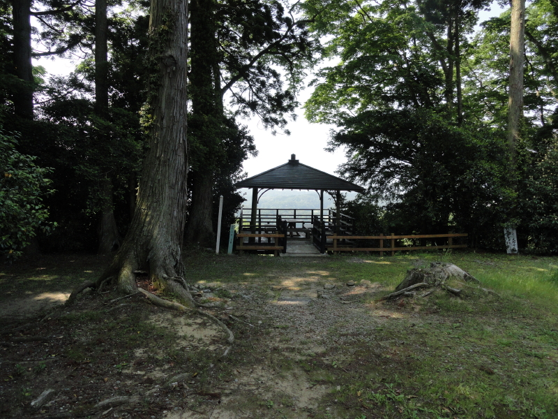 img0016.jpg