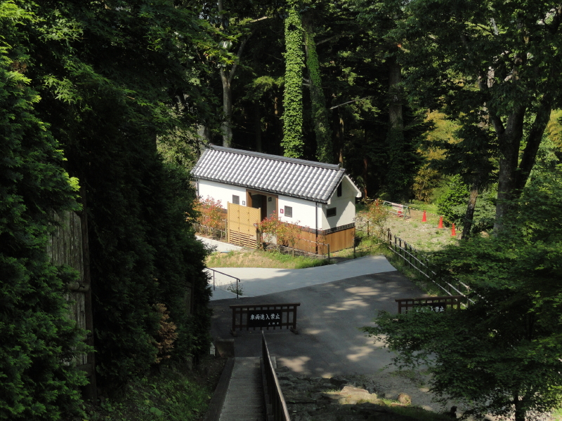img0040.jpg
