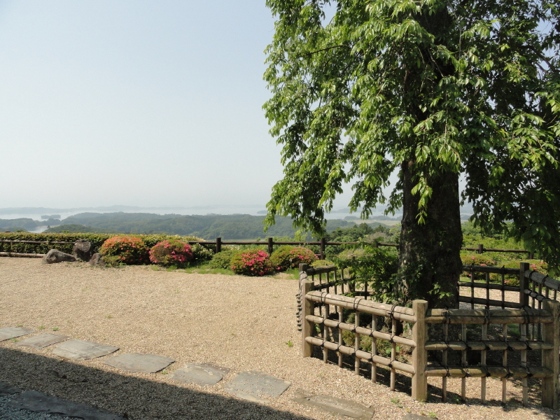 img0046.jpg