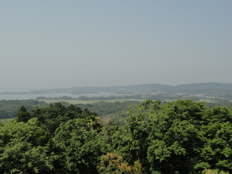 img0048.jpg