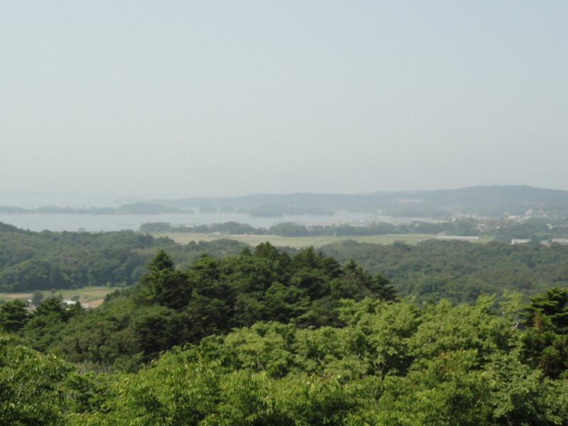 img0050.jpg