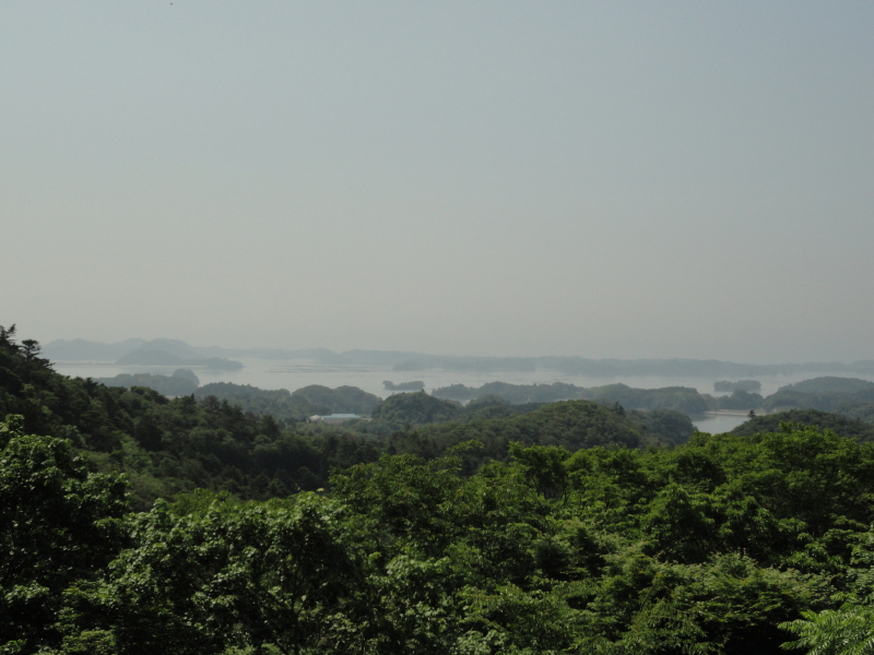 img0053.jpg