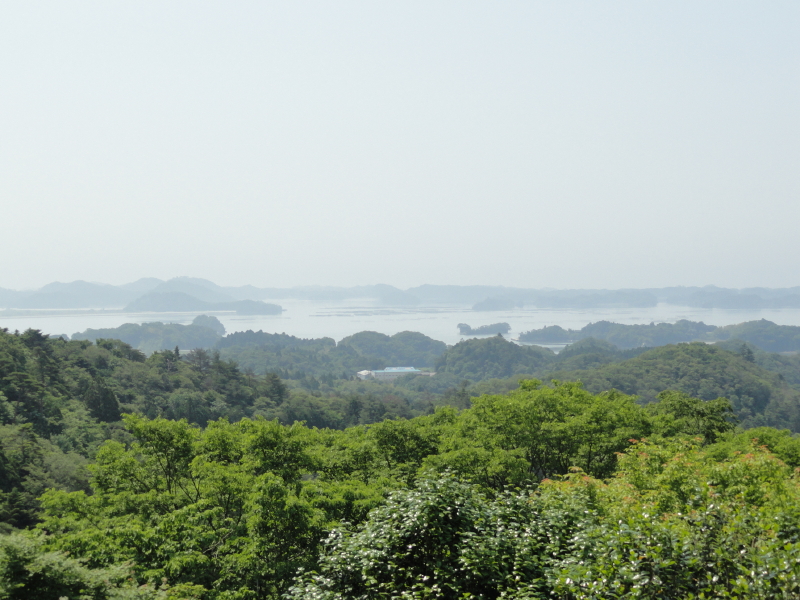img0057.jpg