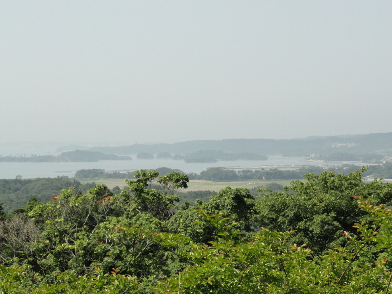 img0059.jpg