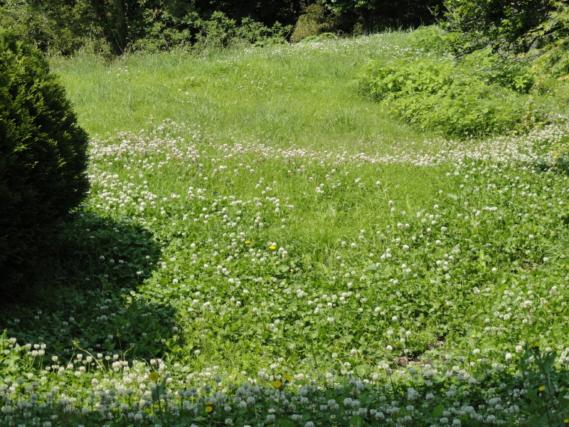 img0060.jpg