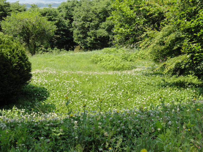 img0064.jpg