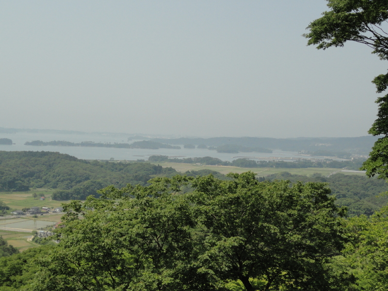 img0074.jpg
