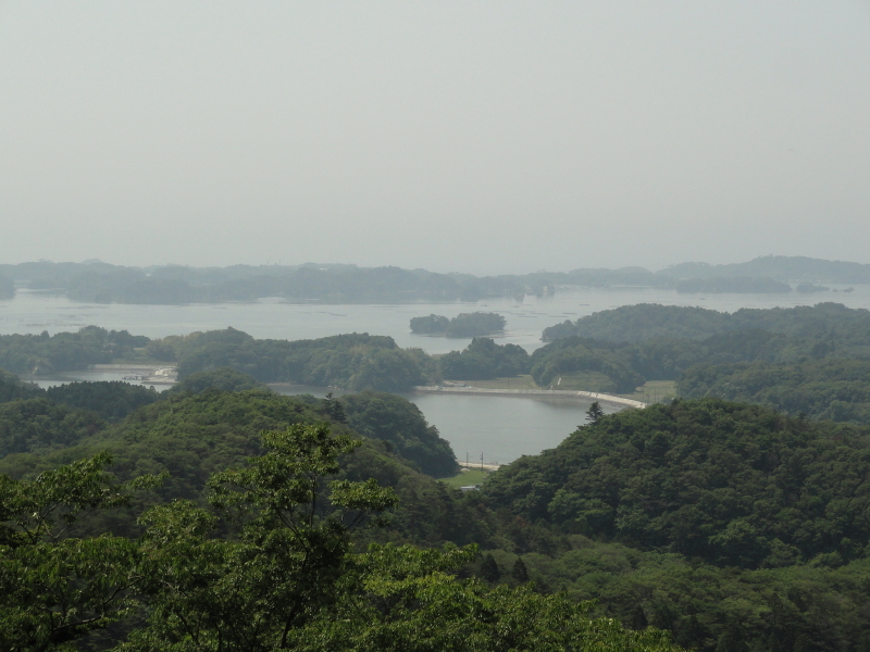 img0079.jpg