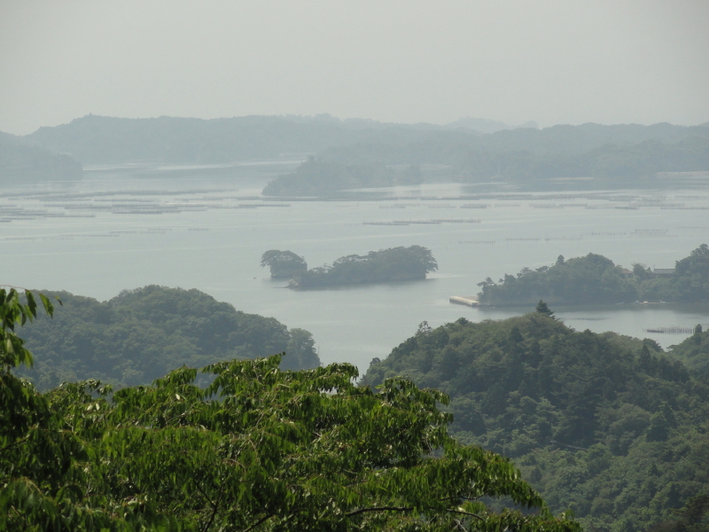 img0081.jpg