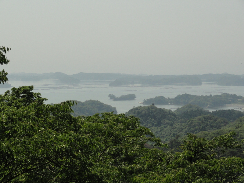 img0084.jpg