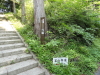img0004.jpg