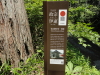 img0005.jpg