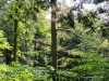 img0008.jpg