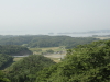 img0036.jpg
