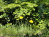 img0038.jpg