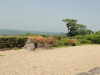 img0054.jpg
