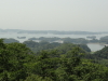 img0083.jpg