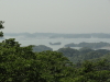img0084.jpg