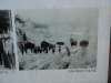 img0003.jpg