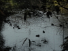 img0005.jpg