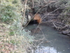 img0008.jpg