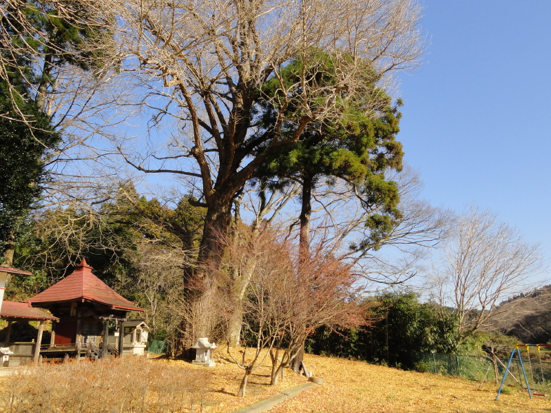 img0015.jpg