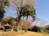 img0015.jpg