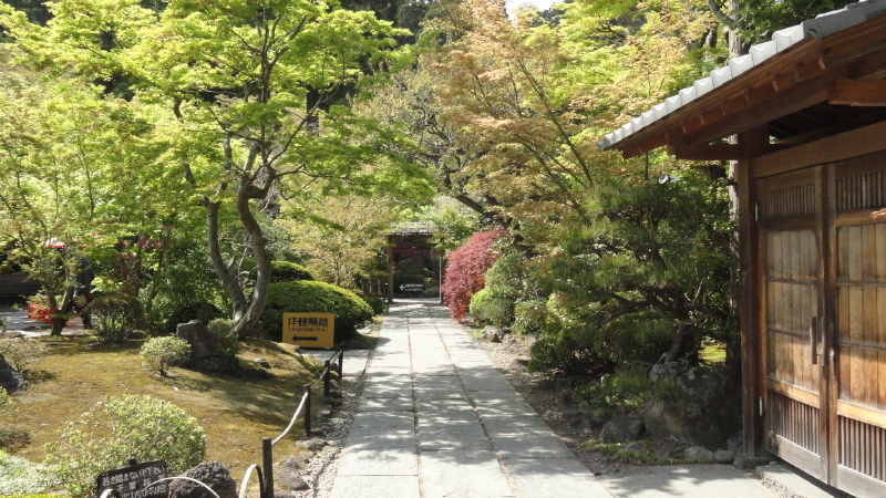 img0003.jpg