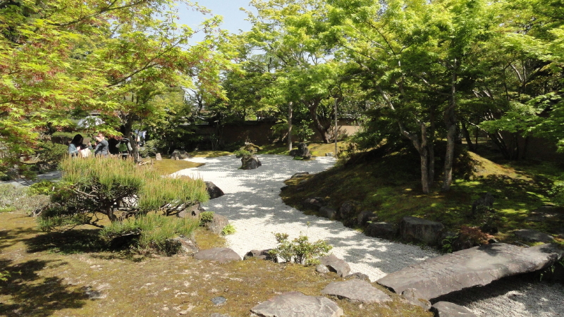 img0006.jpg
