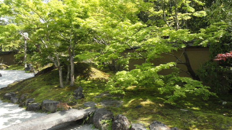 img0007.jpg