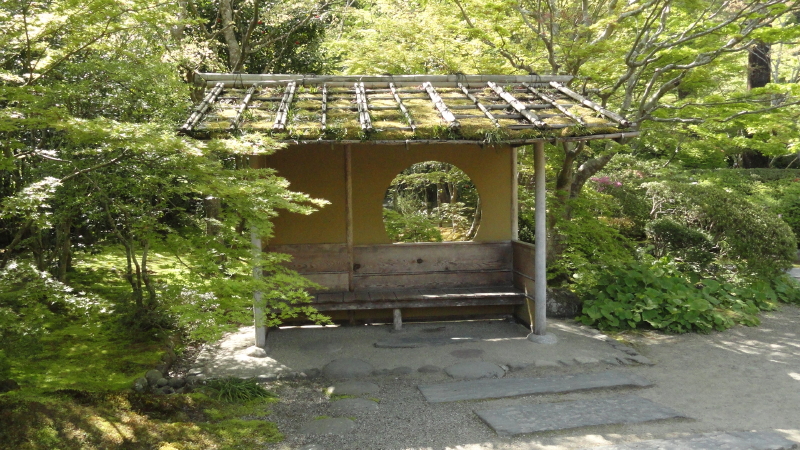 img0008.jpg