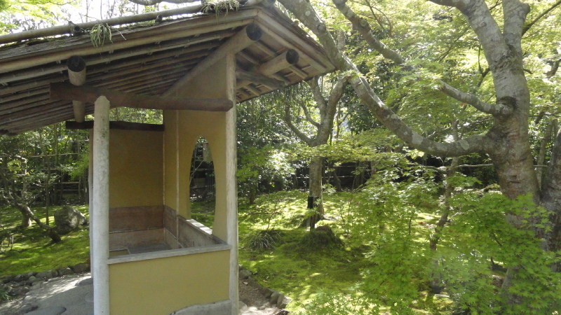 img0009.jpg