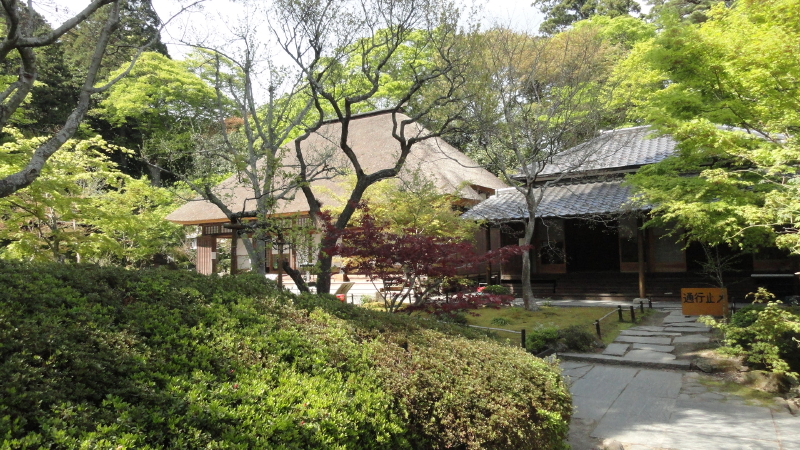 img0010.jpg