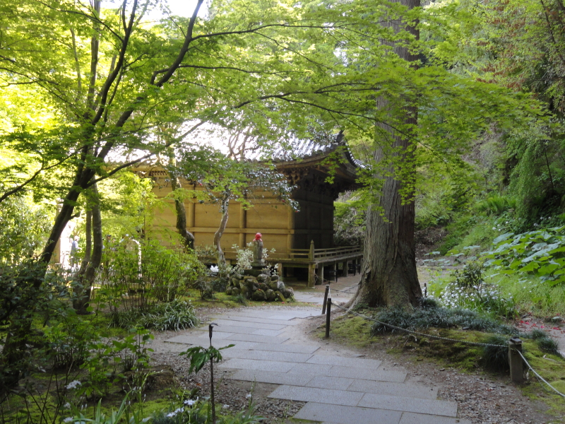 img0018.jpg
