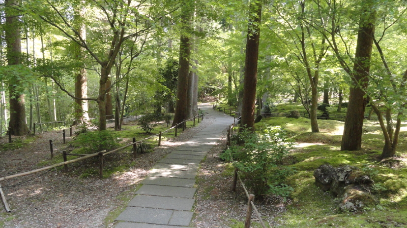 img0021.jpg