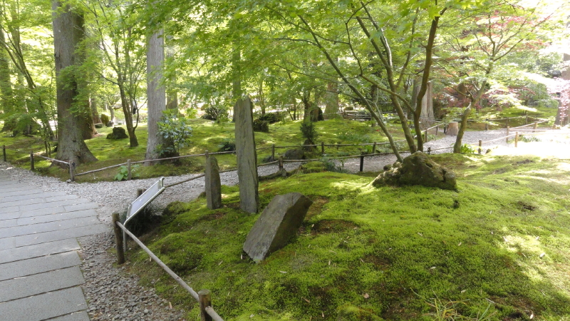 img0022.jpg