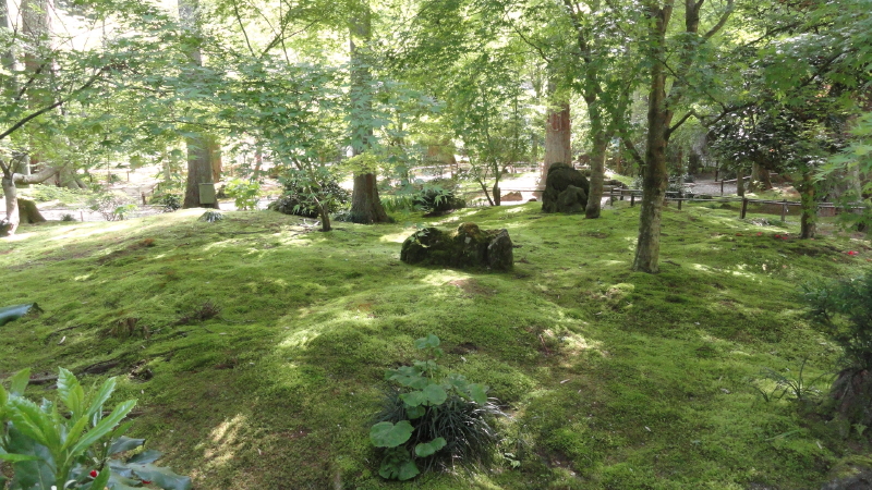 img0023.jpg
