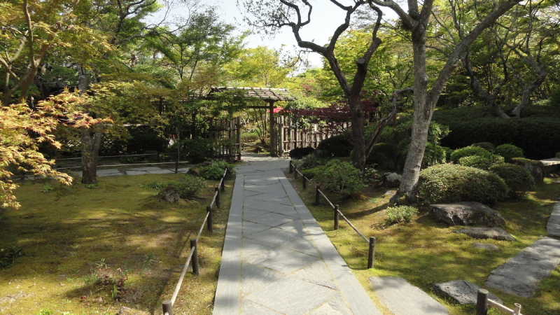 img0029.jpg