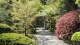 img0004.jpg