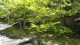 img0007.jpg