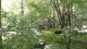 img0025.jpg