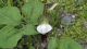 img0026.jpg